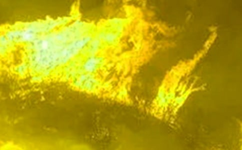 ���������(z��i)�����R��