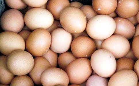 ���o(h��)�u��