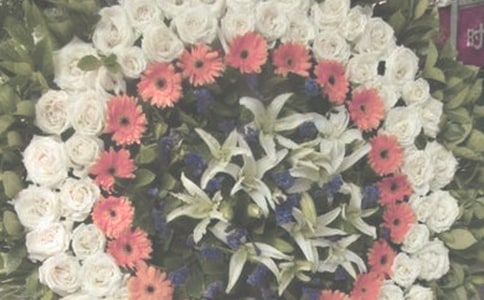 �����L(zh��ng)݅ȥ���ľ���