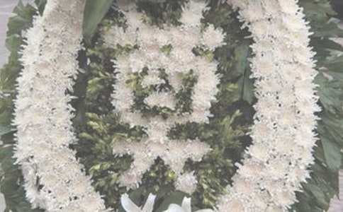 ������ȥ������������