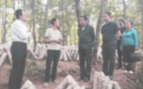 �o�z���L���˹������Y(ji��)