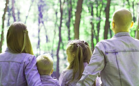 ���P���L����Ӌ��ģ�弯�\��ƪ