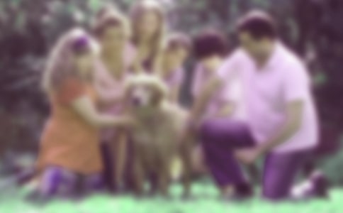 �\Մ��ͥ���������ӵ�Ӱ�Փ��