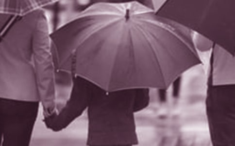 ��������ͥ�����Ĺ������Y(ji��)15ƪ