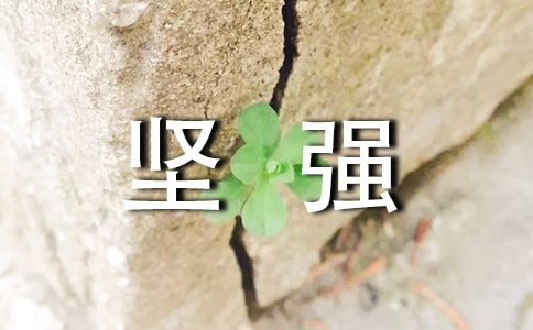 關(guān)于堅(jiān)強(qiáng)作文匯編七篇