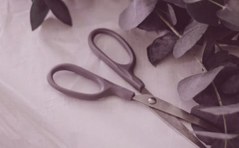 ʯ�^���������ąR����10ƪ��