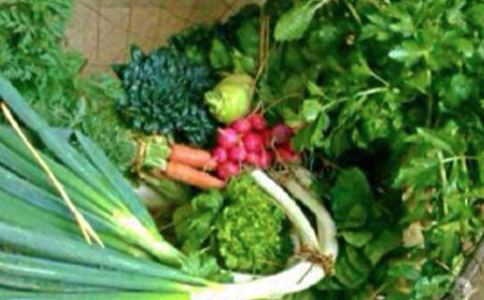 一年級(jí)體育與健康教案