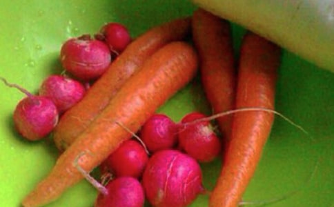 С�W���������»�ӷ���