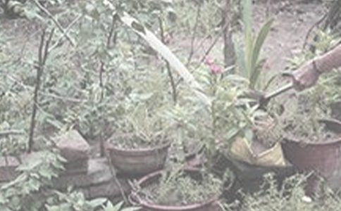 ���꼉��ӛ ������