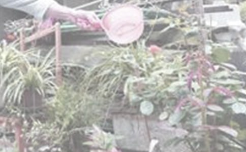 �P(gu��n)�ڝ�������