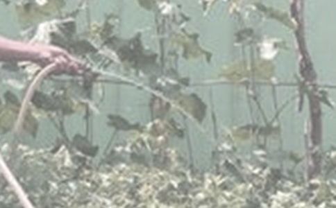 ����������15ƪ