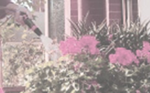 ���������ģ����x57ƪ��