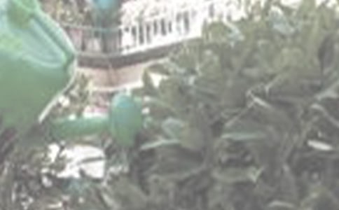 �������꼉��(y��u)�����ģ����x4ƪ��