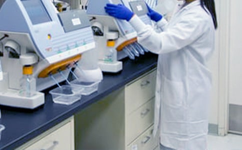 С�W(xu��)Ӣ�Z(y��)���й���Ӌ(j��)��