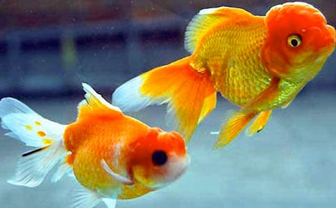 ���~�^������