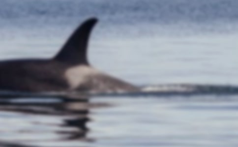 �L�~����������13ƪ