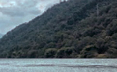 �茑������ɫ�ă�(y��u)�����ģ����x5ƪ��