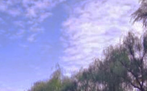 �茑(xi��)������ɫ�ľ��ӣ����x200�䣩