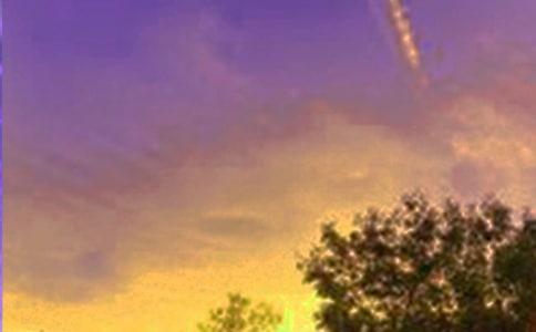 �茑(xi��)��ϫ��ɫ�ĺ��~�þ�