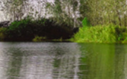 �P(gu��n)�����_�ľ�ɫ��(y��u)�����ģ����x25ƪ��