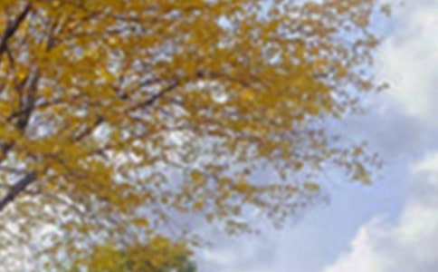 �����x��С�W����ɫ������300����ƪ