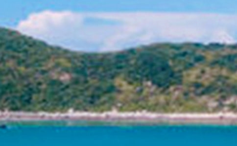 �茑��ɫ�ĺ��~�þ�ö�ժ��