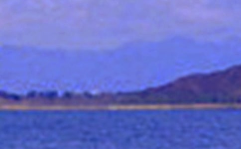 ˮ�ľ�ɫ��(y��u)�����ģ����x31ƪ��