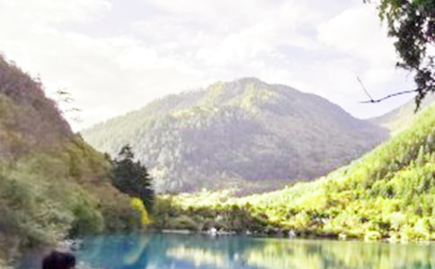 寫九寨溝風景的作文200字(精選24篇)