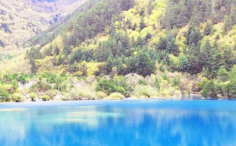 �Ĵ���կ�ό�������