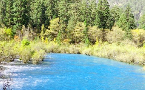 九寨溝的優(yōu)秀作文