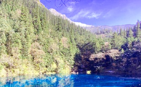 �P(gu��n)�ھ�կ��������ӛ3ƪ