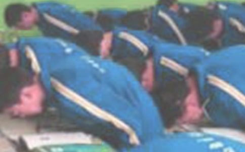 �������Ϲ�����10ƪ