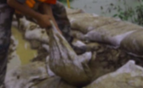 [���T(m��n)]�o����Ȟ�(z��i)��(zh��n)ʿ��һ����x��13ƪ