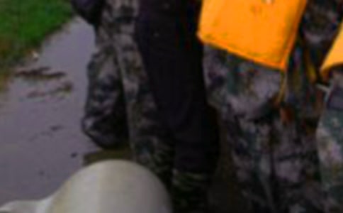 ����Ȟ�(z��i)���h��(�؂�)