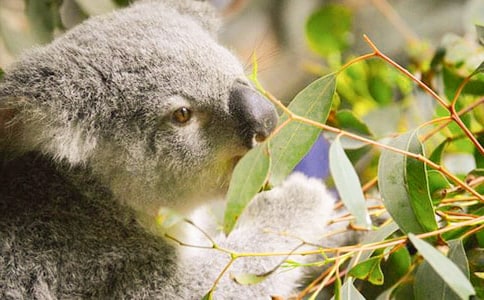 ������������