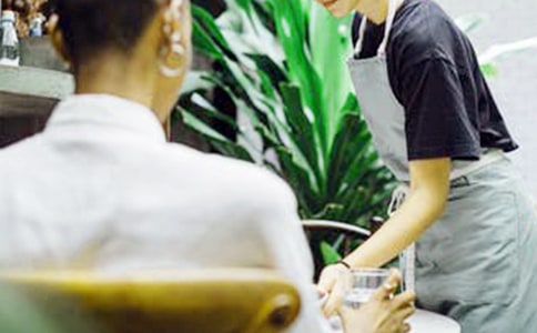 特殊的客人作文