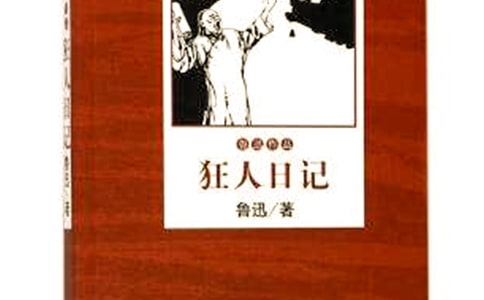讀《狂人日記》有感范文
