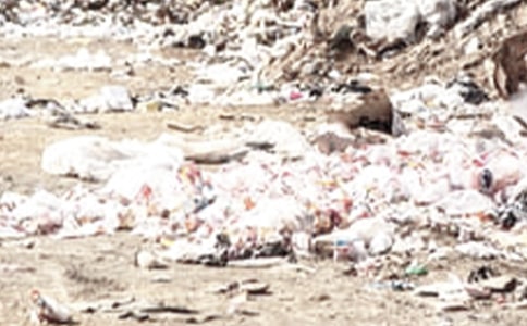 ���y�y���������h��(sh��)