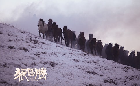 �ǈD�v��(j��ng)�����