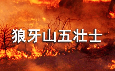 ������ɽ���ʿ��