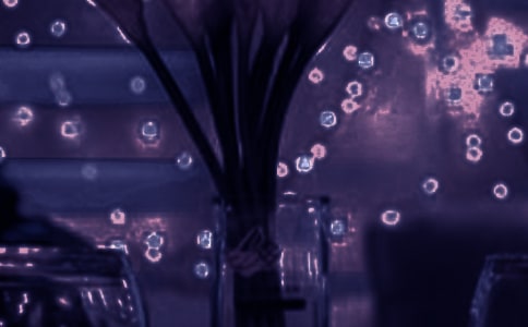 �����Ĳɵ��������