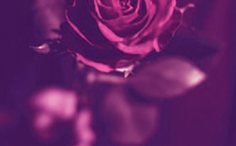 �����H�ڌ����f���������