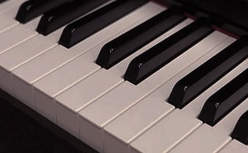 ����Ę������ľ�Ʒ��15ƪ��