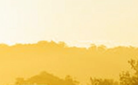 守住那份黎明作文