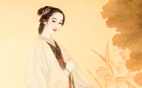 走近李清照作文