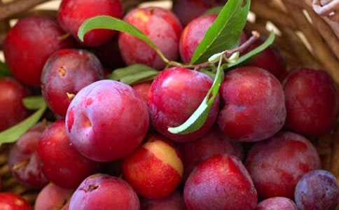 形容李子味道好的句子