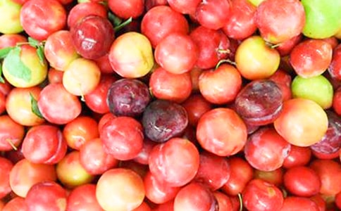 小李子的經(jīng)典臺(tái)詞