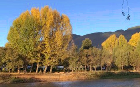 ��ý�w�����ϒ��ɲ��������������ϑc������������