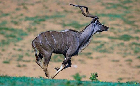 ����ľ��(�W(w��ng)�с���)