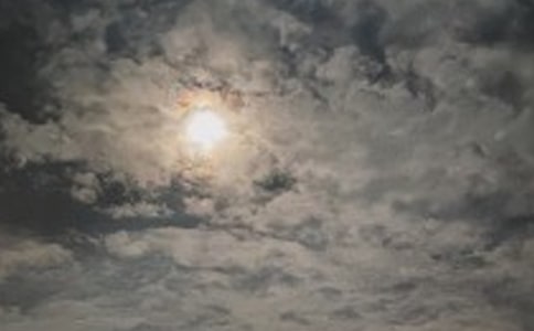 �賿���о���